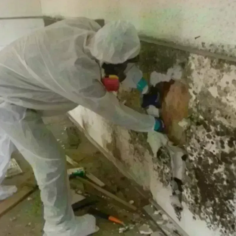 Best Mold Remediation and Removal Service in Capitol Heights, MD