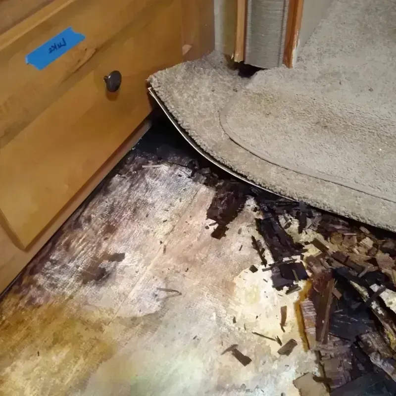 Best Wood Floor Water Damage Service in Capitol Heights, MD